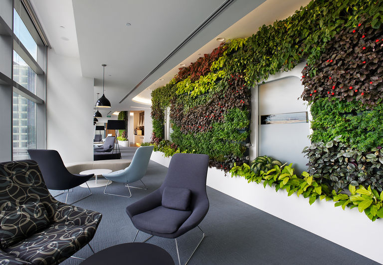 A living wall in the HSBC Headquarters, Singapore, designed by Broadway Malyan