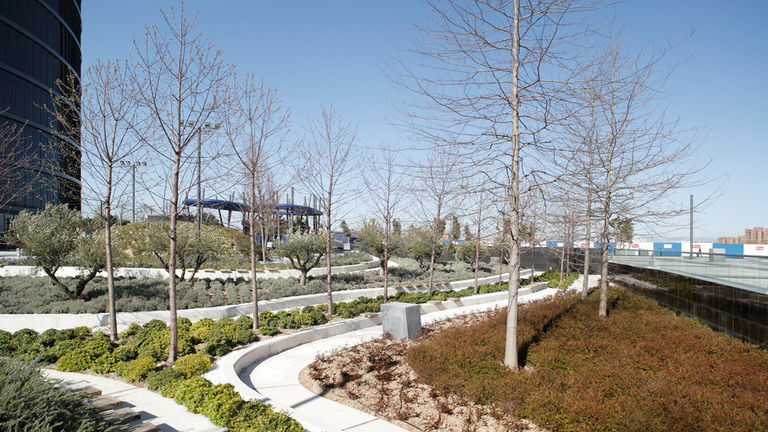 Large open spaces at Las Cuatro Torres featuring tree-lined walkways and inspiring artworks
