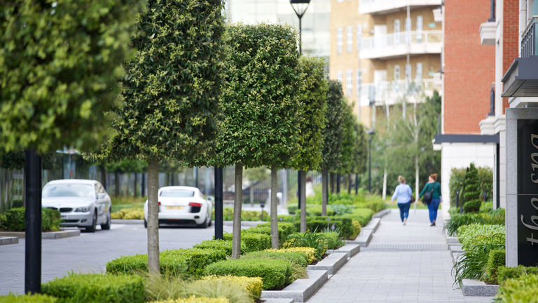 Tree lined boulevards at Chelsea Creek, London for St George