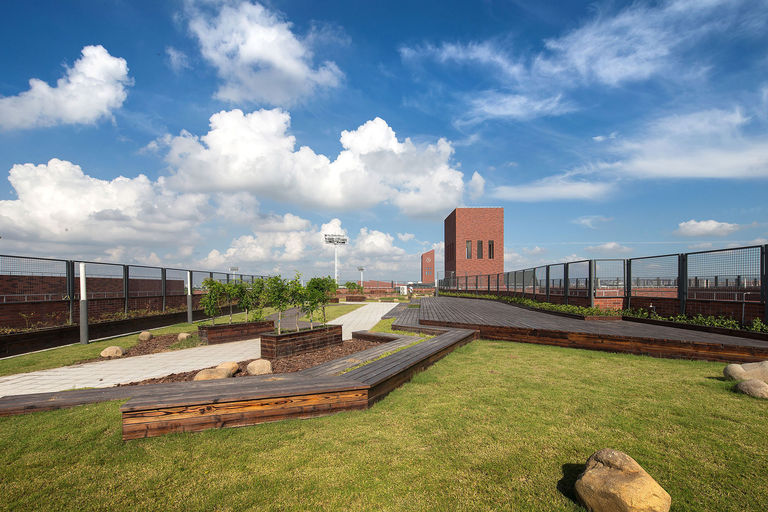 Landscaped roof terrace at Dulwich College Puxi in Shanghai, China, overlooking the red brick clocktower.